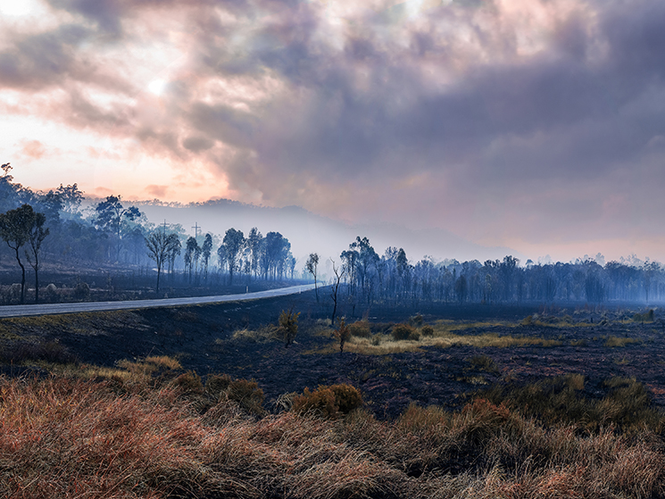 Are you prepared for bushfire season?